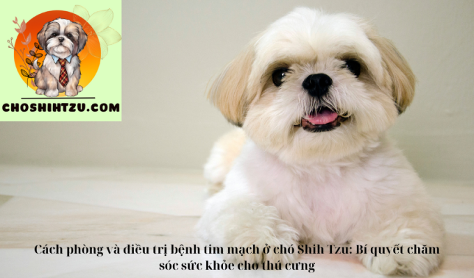 Cách phòng và điều trị bệnh tim mạch ở chó Shih Tzu: Bí quyết chăm sóc sức khỏe cho thú cưng